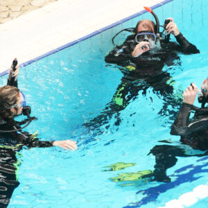 divers training at the pool
