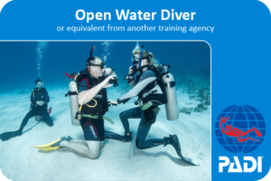 Open Water Diver (Referral Certification Only)