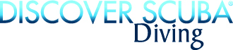 Discover Scuba Diving logo.
