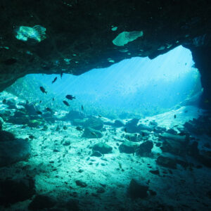Cavern Diver (Photo Credit - Blanchard)